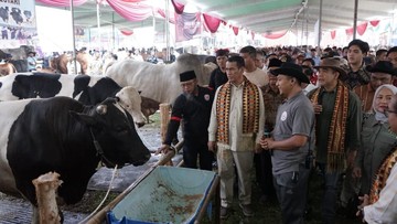 Kunker ke Lampung, Mentan Amran Bereskan 5 Keluhan Petani-Peternak