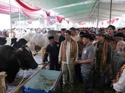 Kunker ke Lampung, Mentan Amran Bereskan 5 Keluhan Petani-Peternak