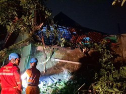 Pohon Tumbang Timpa Atap Bangunan Makam Mbah Dalem di Bogor