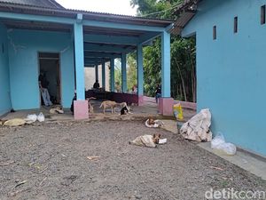 Disekap Terlalu Lama, 1 Ekor Anjing yang Akan Diselundupkan ke Solo Mati Disekap Terlalu Lama, 1 Ekor Anjing yang Akan Diselundupkan ke Solo Mati
