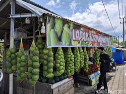 Cerita Pedagang Alpukat Raup Cuan dari Wisatawan yang Berkunjung ke Pagar Alam