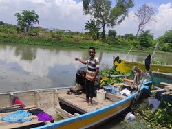 Buaya di Kedungpeluk Sidoarjo Muncul Lagi, Tapi Malah Jadi Tontonan