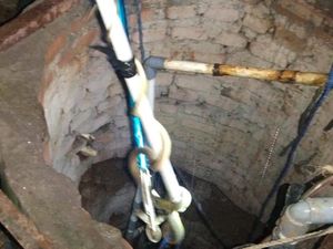 Kasus Ular Masuk Rumah di Lubuklinggau Meningkat, Warga Diminta Waspada