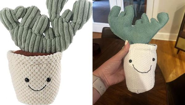 Foto Produk di Toko Online Vs Diterima Bikin Melotot dan Ngakak