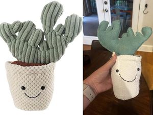 Foto Produk di Toko Online Vs Diterima Bikin Melotot dan Ngakak