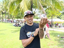 Cerita Iyan, dari Hobi Pelihara Musang hingga Jadi Peternak Sukses