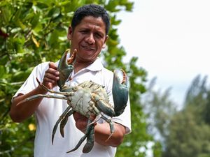 Kepiting Bakau Aceh Tembus Pasar Singapura-China, Harga Rp 420 Ribu/Kg