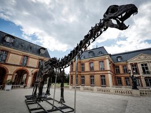 Kerangka Dinosaurus Raksasa Berhasil Dilelang, Harganya Bikin Tercengang Kerangka Dinosaurus Raksasa Berhasil Dilelang, Harganya Bikin Tercengang