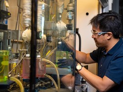 Ilmuwan Ubah Limbah Pertanian Ini Jadi Bahan Bakar Jet Ramah Lingkungan