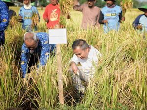 Target Bey soal Produksi Gabah Kering Giling di Jabar Target Bey soal Produksi Gabah Kering Giling di Jabar