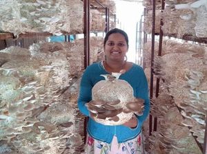 Profesor Beralih Jadi Petani Jamur demi Kesembuhan Kanker Payudara Mertuanya