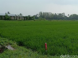 Pencairan UGR Tol Jogja-Solo-YIA di Sleman Ditarget 25 Persen Akhir 2024