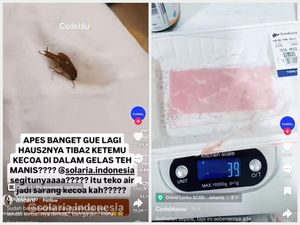 5 Kontroversi Temuan Codeblu, Kecoak di Resto hingga Tipuan Timbangan Supermarket 5 Kontroversi Temuan Codeblu, Kecoak di Resto hingga Tipuan Timbangan Supermarket