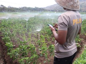 Aipda Anto Bertani Pakai Google Assistant: Hemat Biaya Produksi dan Tenaga