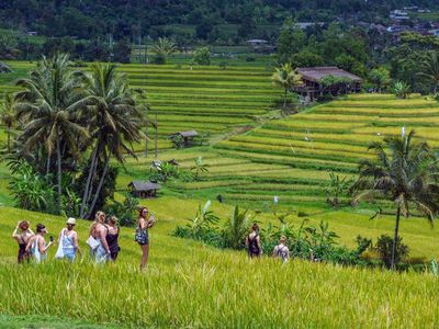 Bikin Bule Kepincut, Desa Wisata Jatiluwih Raih Penghargaan dari PBB