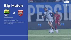 Data dan Fakta Persib Jelang Hadapi Borneo FC