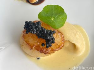 Mewah! Scallop Caviar hingga Risotto Black Truffle untuk Natal Mewah! Scallop Caviar hingga Risotto Black Truffle untuk Natal