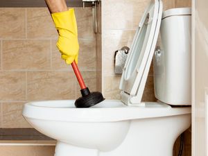 4 Cara Jitu Perbaiki WC yang Mampet Tanpa Perlu Dibongkar 4 Cara Jitu Perbaiki WC yang Mampet Tanpa Perlu Dibongkar