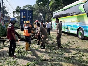 Pohon Tumbang Timpa Truk di Jonggol, Jalan Transyogi Sempat Macet