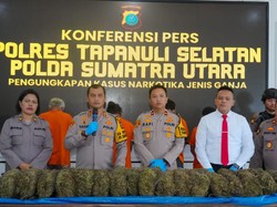 Polisi Cegat Mobil Bawa 22 Kg Ganja di Tapsel, 4 Pelaku Ditangkap