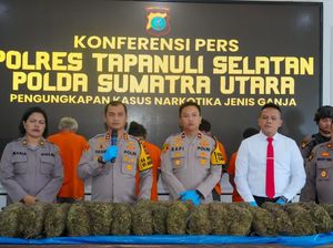 Polisi Cegat Mobil Bawa 22 Kg Ganja di Tapsel, 4 Pelaku Ditangkap Polisi Cegat Mobil Bawa 22 Kg Ganja di Tapsel, 4 Pelaku Ditangkap