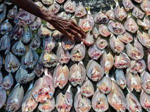 Produksi Ikan Asin di Serang Anjlok!