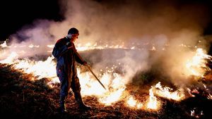 Protes Perjanjian Dagang UE-Amerika Latin, Petani Prancis Bakar Jerami