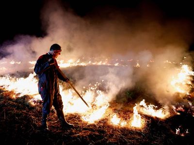 Protes Perjanjian Dagang UE-Amerika Latin, Petani Prancis Bakar Jerami