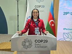 Di COP Azerbaijan, Sara Gerindra Ajak Parlemen Global Atasi Perubahan Iklim