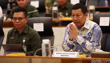 Rapat dengan DPR, Bapanas Minta Tambahan Rp 31 T buat Bansos Beras-Telur