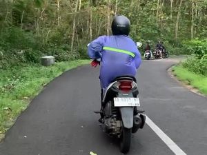 Fenomena Serbuan Ulat Jati di Gunungkidul: Bikin Geli tapi Bisa Jadi Cuan Fenomena Serbuan Ulat Jati di Gunungkidul: Bikin Geli tapi Bisa Jadi Cuan