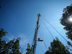 Sebelum Ada Tower BTS, Warga di Wilayah Ini Naik Bukit demi Internet