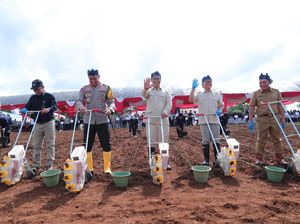 64 Ribu Kg Benih Jagung Ditanam di Banten untuk Program Swasembada Pangan