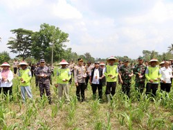 Sukseskan Program Asta Cita, Polresta Banyuwangi Pupuk Tanaman Jagung