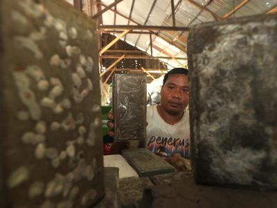 Pusat Bank Sampah di Banda Aceh Ubah Plastik Jadi Paving Block