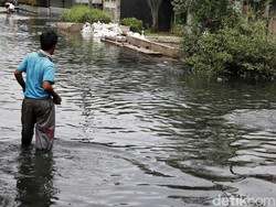 2 RT di Pluit Jakut Terendam Banjir Rob, Tinggi Air Capai 45 Cm