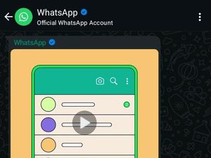 Mau WA Bisnismu Centang Biru? Ini Syarat dan Caranya