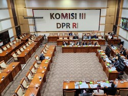 Anggota DPR Soroti soal OTT, Cadewas KPK Elly: Sah Saja Dilakukan