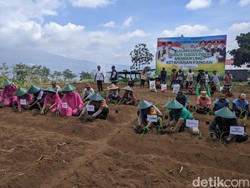 Lahan Tidur di Kota Batu Diaktifkan untuk Program Ketahanan Pangan