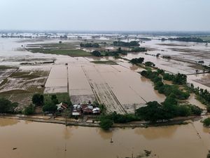 Video: Korban Tewas Akibat Topan Kalmaegi di Filipina Jadi 40 Orang