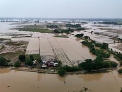 Video: Korban Tewas Akibat Topan Kalmaegi di Filipina Jadi 40 Orang