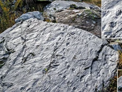 Tak Sengaja Injak Batu, Pendaki Temukan Dunia Purba Berusia 280 Tahun