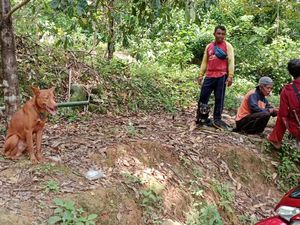 Kades di Trenggalek Manfaatkan Dana Desa untuk Beli 8 Anjing Pemburu Kades di Trenggalek Manfaatkan Dana Desa untuk Beli 8 Anjing Pemburu