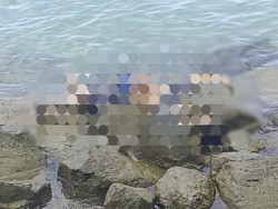 Terungkap Identitas Jasad Kepala Tak Utuh di Pantai Lampung