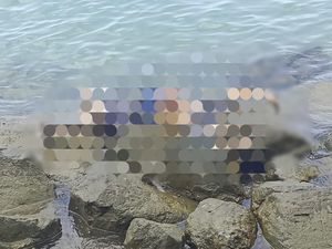 Terungkap Identitas Jasad Kepala Tak Utuh di Pantai Lampung Terungkap Identitas Jasad Kepala Tak Utuh di Pantai Lampung
