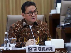 Mendag Ungkap Alasan Longgarkan Impor 441 Produk Kehutanan Mendag Ungkap Alasan Longgarkan Impor 441 Produk Kehutanan