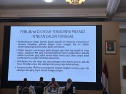 Guru Besar UI: Bila Hanya Satu Paslon, Pilkada Harusnya Ditunda