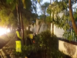 Hendak Jemput Anak, Seorang Ibu di Bogor Tertimpa Dahan Tumbang Hendak Jemput Anak, Seorang Ibu di Bogor Tertimpa Dahan Tumbang