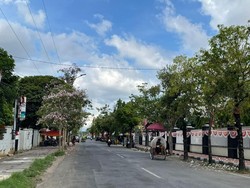 3,5 Tahun Menjabat, Achmad Fauzi Sulap Sumenep Jadi Kota Penuh Bunga