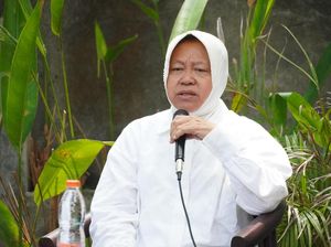 Atasi Masalah Air Bersih, Risma Bakal Normalisasi Kali Porong Sidoarjo